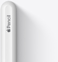 圖片展示 Apple Pencil (第 2 代) 頂部的圓弧狀頂端、Apple 標誌和 Pencil 字樣。