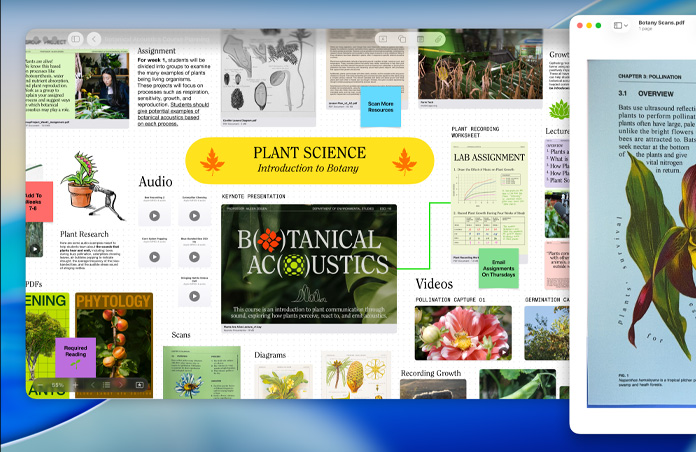 Un pizarrón de Freeform sobre ciencia de las plantas en un Mac, organizado con audio, videos e investigación, junto a una ventana de Vista Previa de un PDF, para demostrar una productividad optimizada de manera sencilla