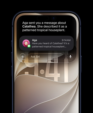 iPhone 17 Pro, Abis, önden görünüm, ekranında Mesajlar’daki bir sohbette geçen ev bitkisiyle ilgili bir Siri AI sorgusu gösteriliyor.